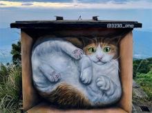 3D网红打卡手绘墙